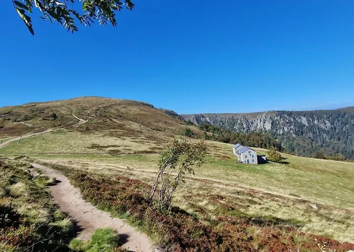 Avec Terrasse Hyper Centre